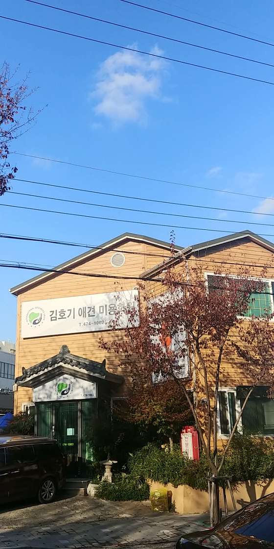 김호기애견미용학원 사진 2