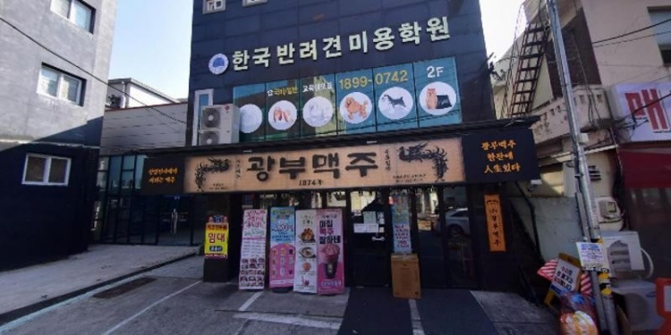 한국반려견미용학원 대표 이미지