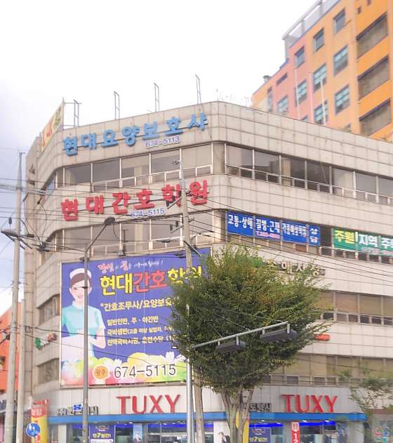 현대간호학원 대표 이미지