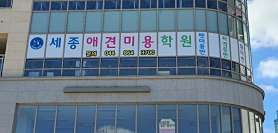 세종애견미용학원 사진 3