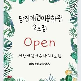당진애견미용학원 사진 2