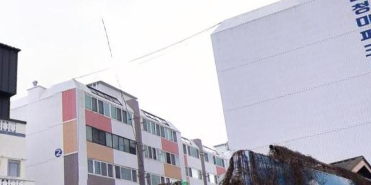 반석단과학원 대표 이미지