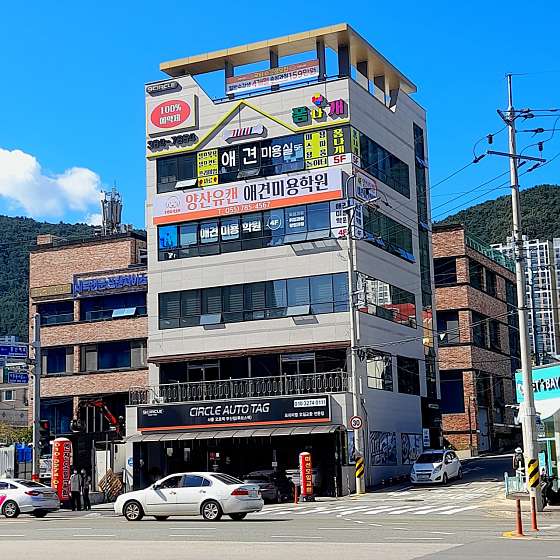 양산유캔애견미용학원 대표 이미지