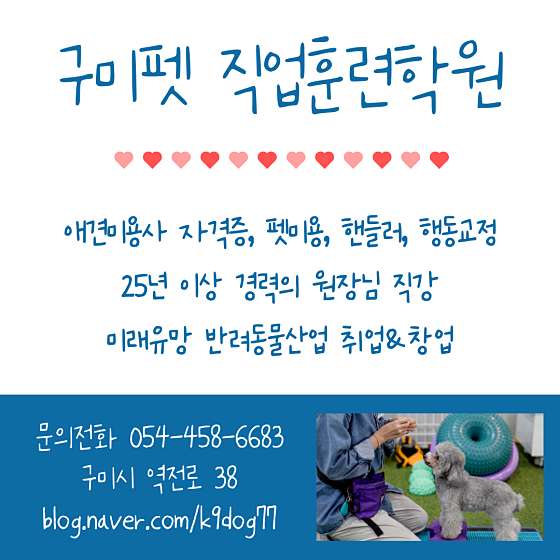 구미펫직업훈련학원
