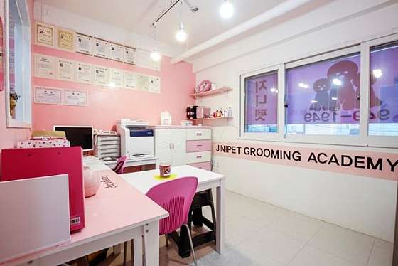 지니펫 애견미용 학원