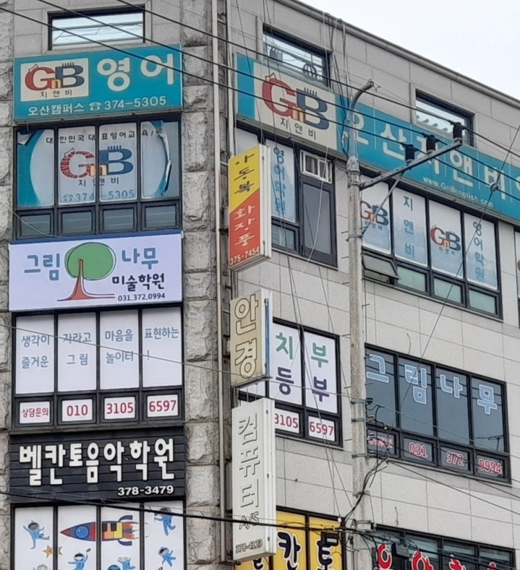 그림나무미술학원 대표 이미지