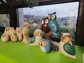 플러스간호학원 동구청점 사진 3