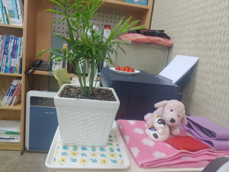 용선생수학교습소