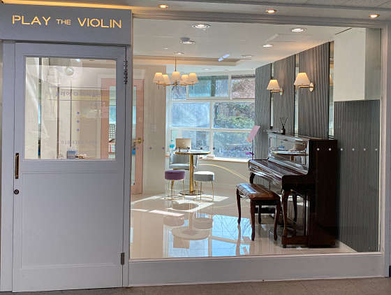 플레이 더 바이올린