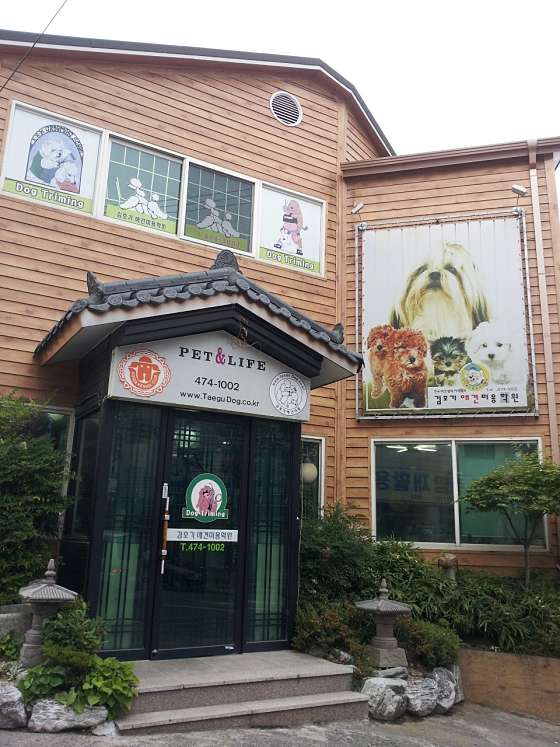 김호기애견미용학원 사진 3