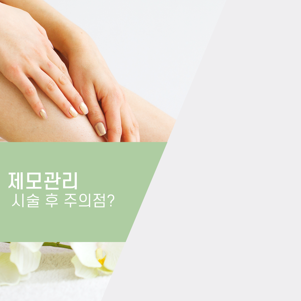 울산삼산동피부과추천, 제모관리는 계절에 상관없이하세요!