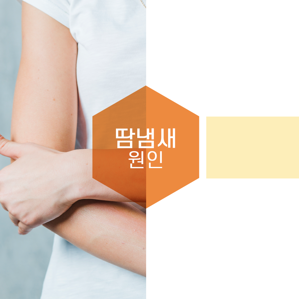 울산겨드랑이땀냄새, 불쾌한 냄새의 원인 액취증이 고민이라면 뉴 미라드라이 프레쉬로 해결하세요.