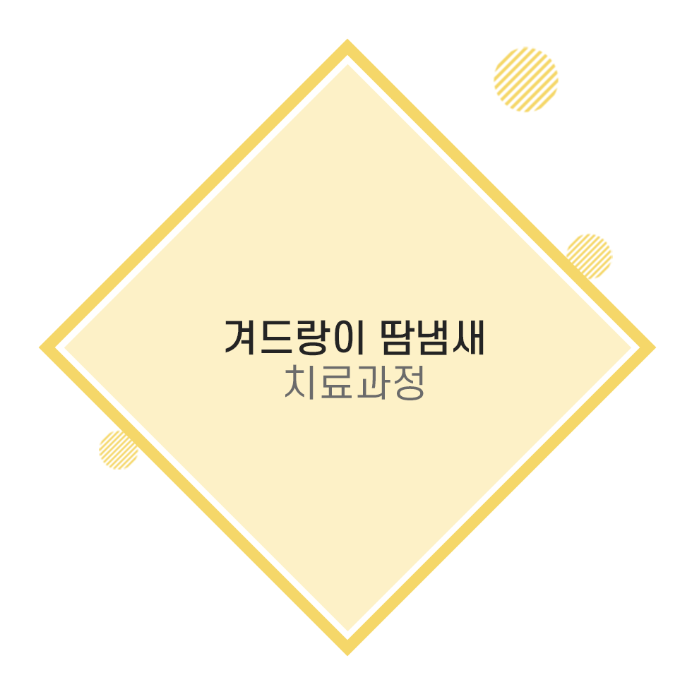울산겨드랑이땀냄새, 불쾌한 냄새의 원인 액취증이 고민이라면 뉴 미라드라이 프레쉬로 해결하세요.