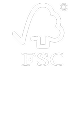 FSC 인증