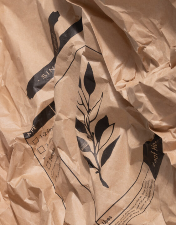 paperbag_kraft 4