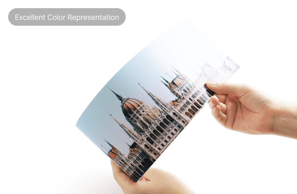 Vivid Color Prints2