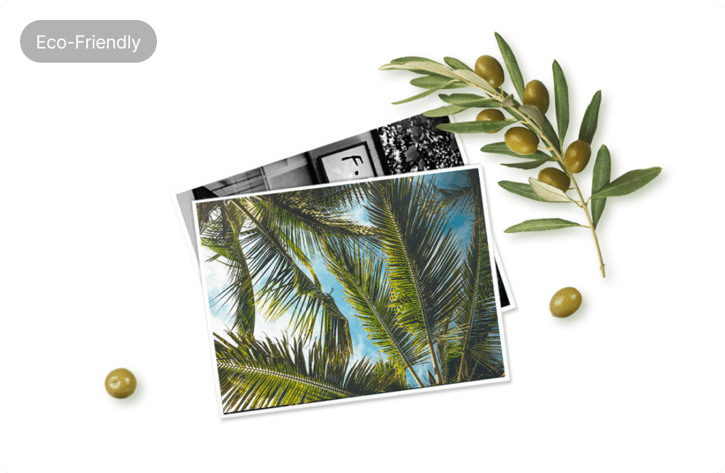 Vivid Color Prints4