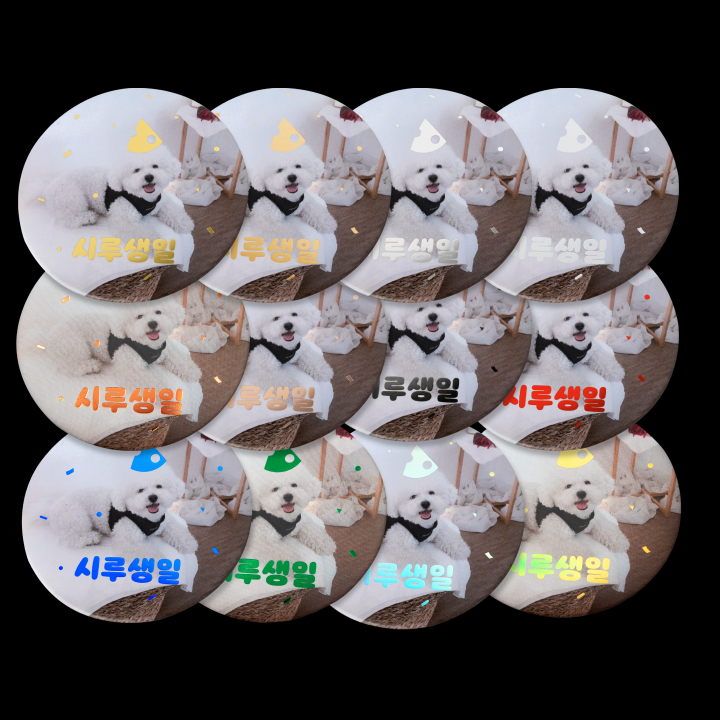 9가지 박의 종류