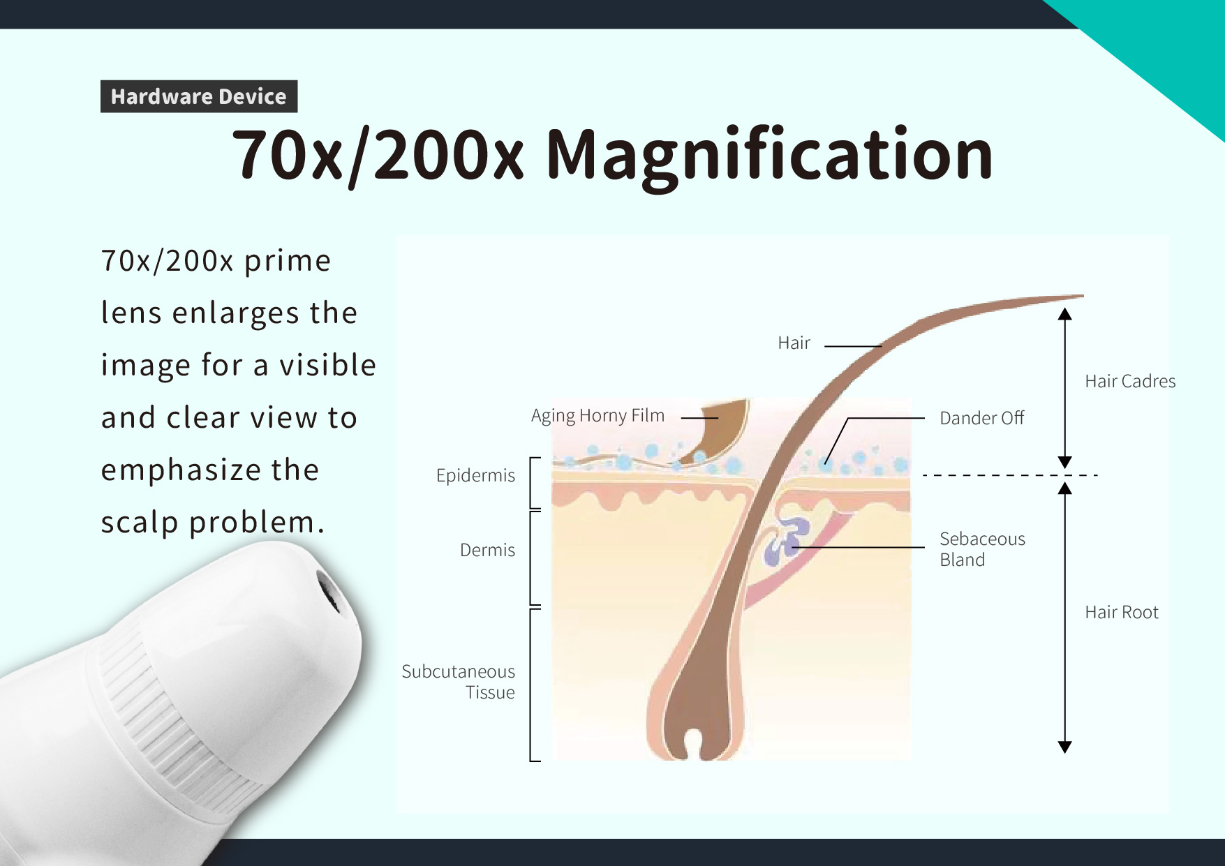 70x/200x Magnification: 70x/200x prime lens enlarges the image for a visible and clear view to emphasize the scalp problem.