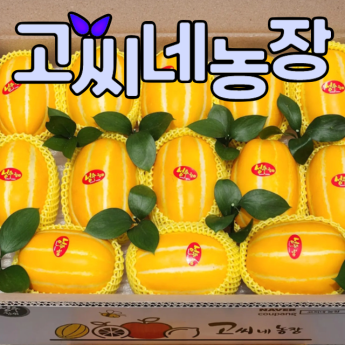 고씨네 농장 블로그 체험단 모집