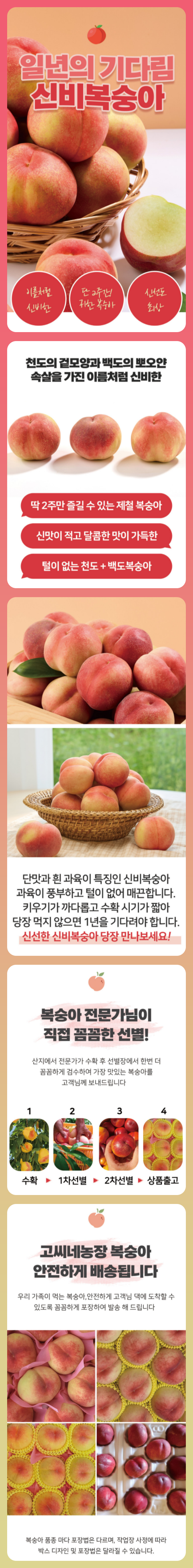1년 중 딱 2주간!✨
천도의 아삭함과 백도의 달콤함을 동시에 품은
'신비복숭아' 체험단을 모집합니다.🍑
고당도 프리미엄 신비복숭아를 가장 신선하게 만나보고 정성스러운 리뷰를 남겨주실 블로그 인플루언서분들 지금 바로 신청하세요!