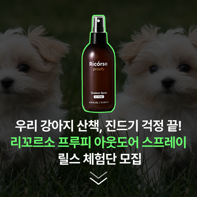리꼬르소 프루피(반려견 산책용 해충기피 스프레이) 릴스 체험형 캠페인