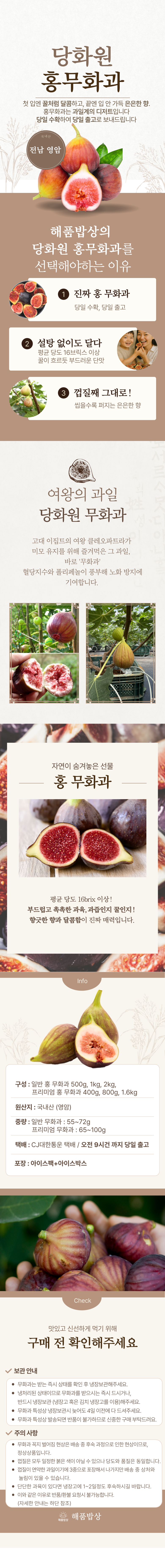 국내산 영암 홍무화과 리뷰
