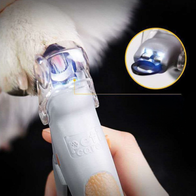 반려견/반려묘 발톱깎기 배송형 인스타그램 릴스 체험단 모집