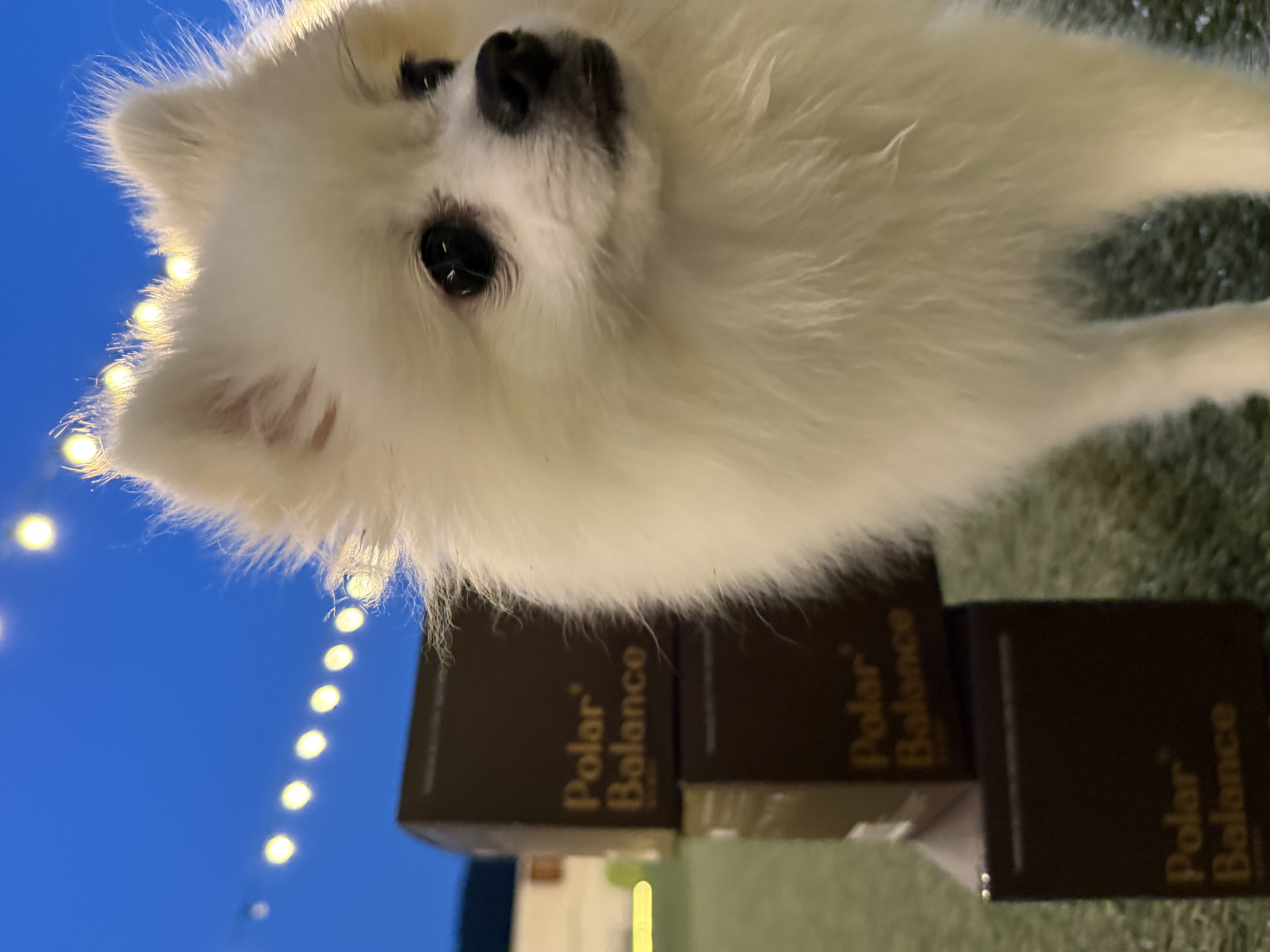 "당신의 일상에 고귀한 품격을 더하는 '폴라밸런스'입니다. 단순한 홍보가 아닌, 진정한 가치와 건강한 균형의 미학을 공유해주실 분을 정중히 모십니다. 프리미엄 밸런스 케어, 그 깊이 있는 경험의 주인공이 되어주세요."