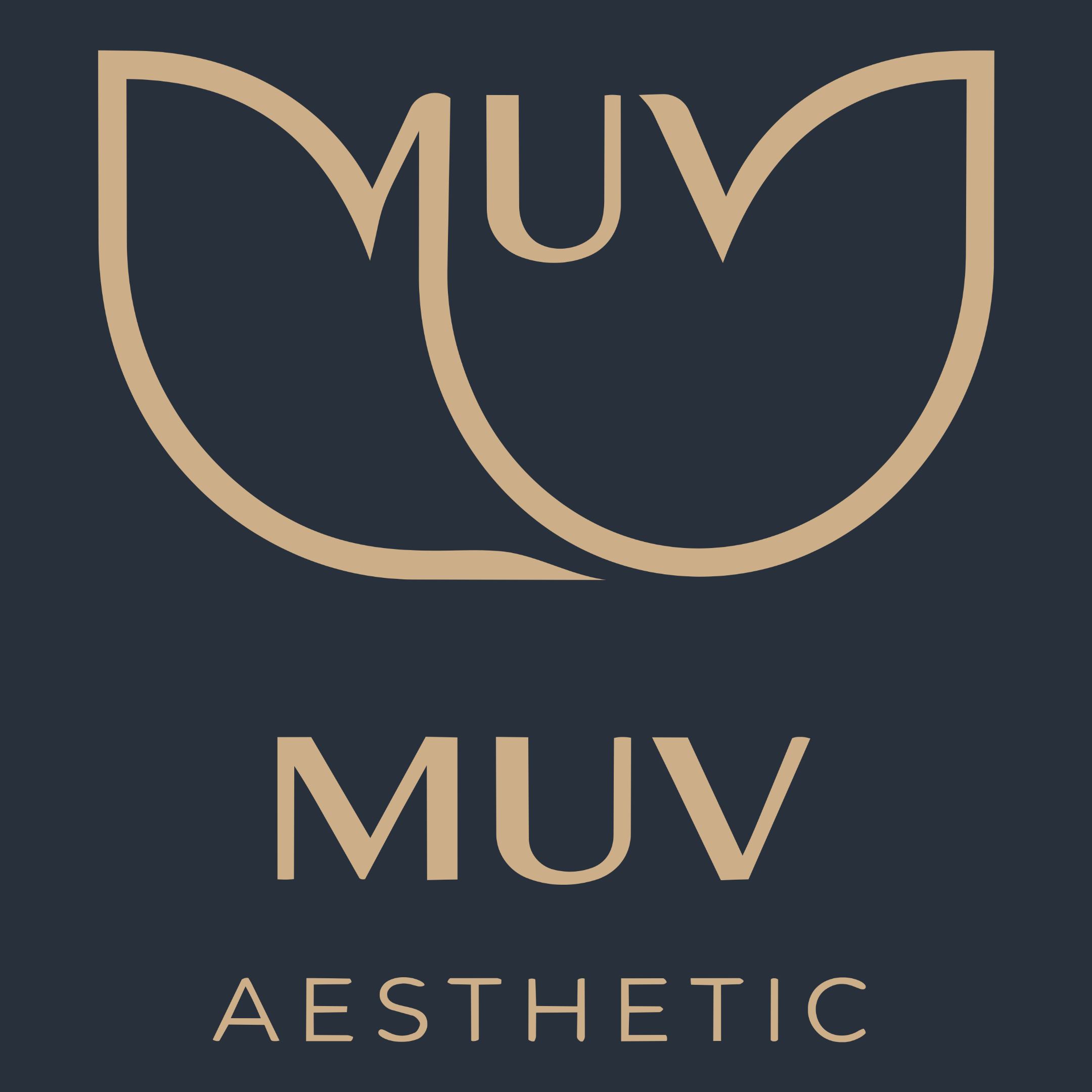 무브에스테틱만의 독보적인 관리 체험