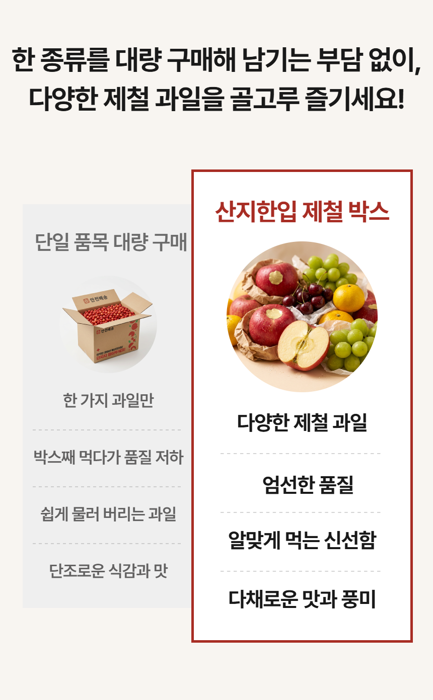 제철 과일 박스 M사이즈