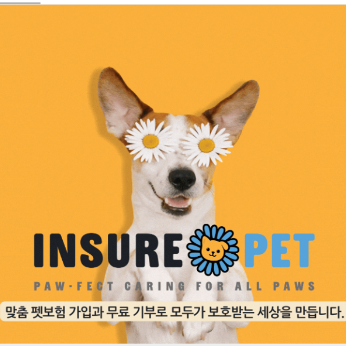 펫보험 비교 사이트 '인슈어펫' 체험 기자단 모집