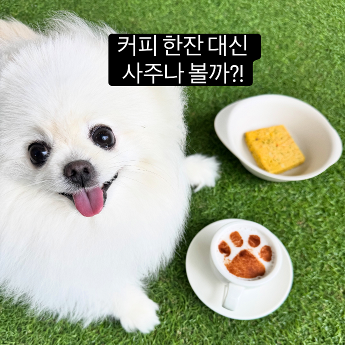 족집게 사주보고 리뷰 올려주실분!
