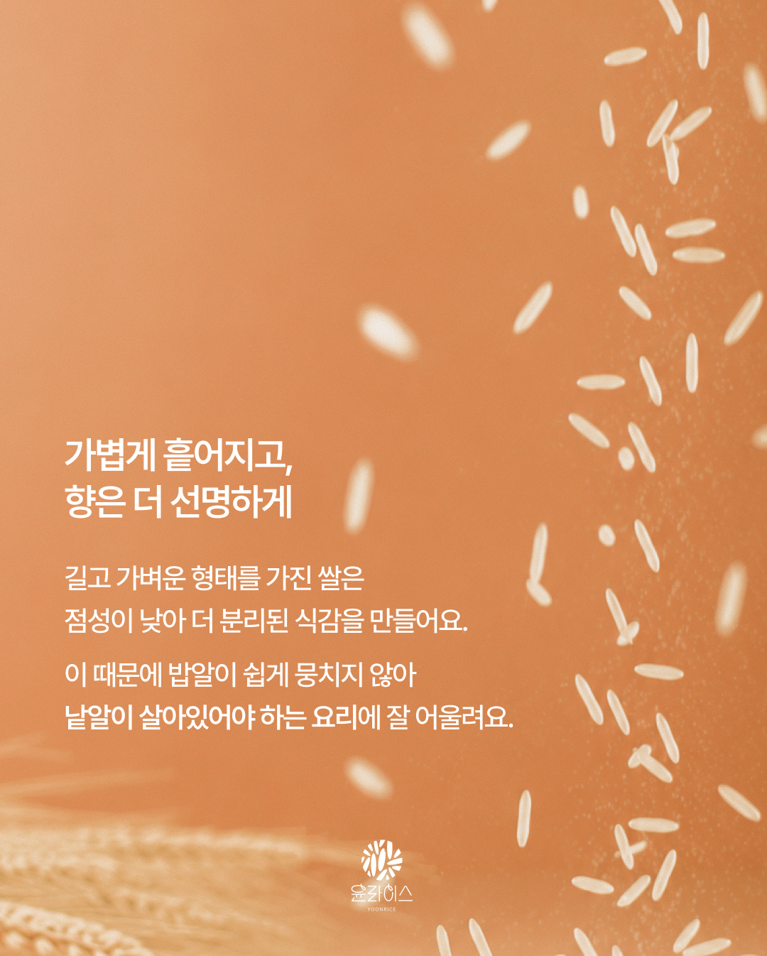 [이런분을 환영합니다]

✔️ 다양한 쌀 요리를 즐기는 홈쿡러
✔️ 볶음밥, 필라프, 나시고랭 요리에 어울리는 쌀을 경험해보고 싶은 분
✔️ 요리에 맞는 재료를 선택하는 즐거움을 콘텐츠로 소개하고 싶은 분

※정부사업지원과제로 사업등록증 및 세금계산서 발행필수