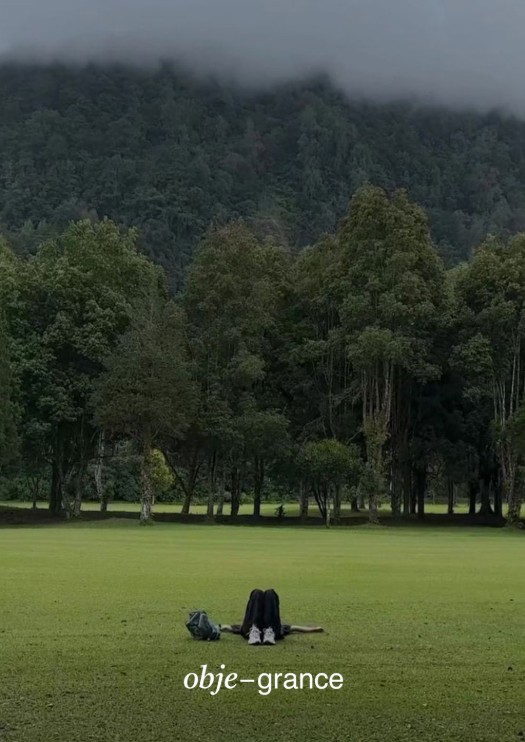 🌿오브제그랑스 블로그 체험단 모집
오브제그랑스 제품을 직접 체험하고 정성스러운 후기를 작성해주실 블로거분들을 모집합니다 :)
📦 배송형 진행되며, 방문 가능 시 우대하여 선정합니다! 😊