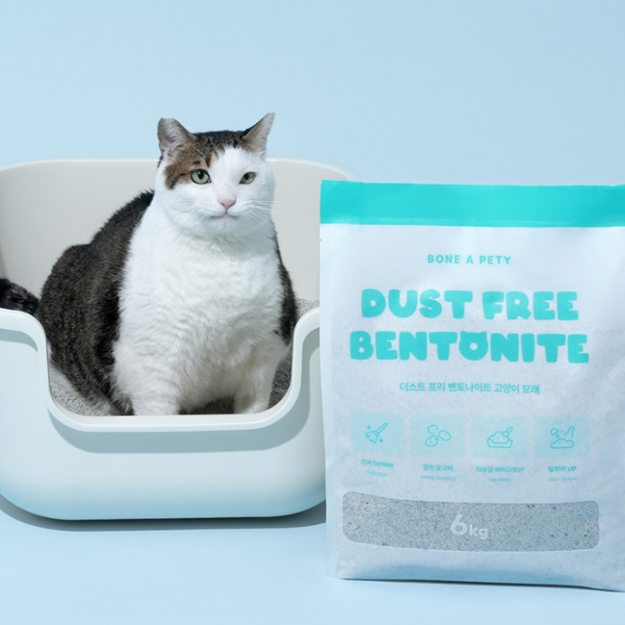 [본아페티] 고양이 모래 더스트프리 벤토나이트 인스타 릴스/쇼츠 체험단 모집