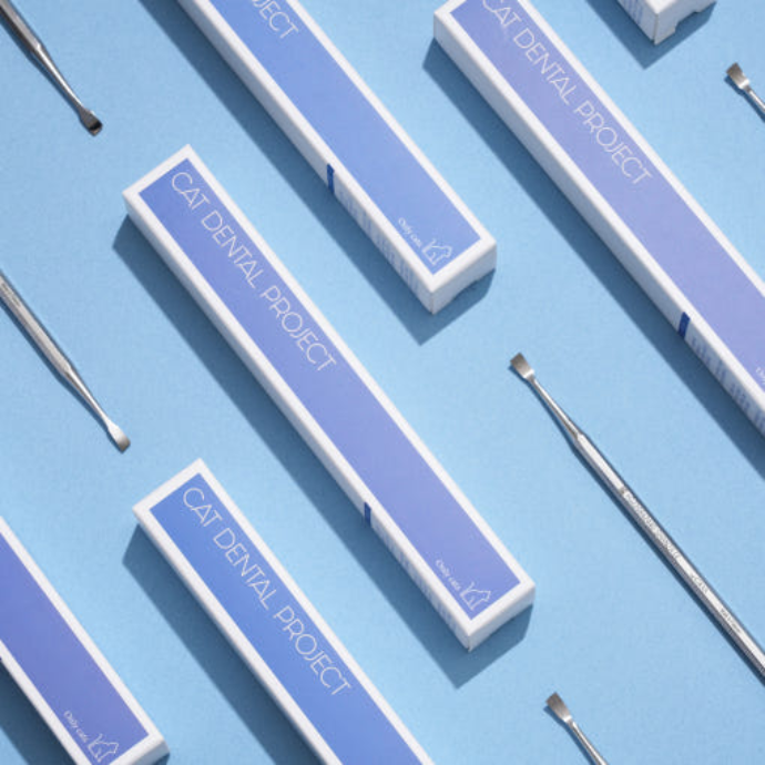 [캣디피] 고양이 치석제거기 블로그 체험단 모집