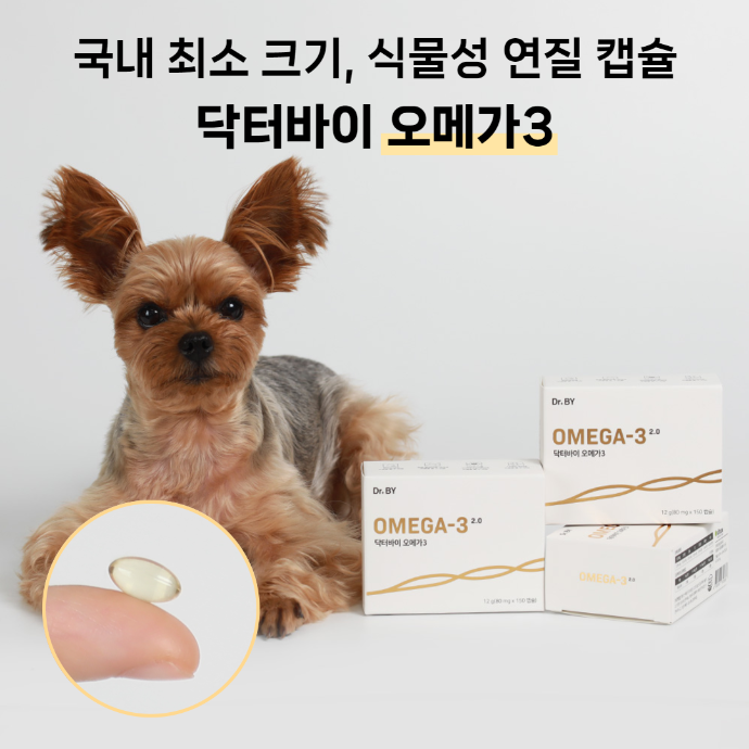[릴스] 강아지 오메가3 릴스 제작