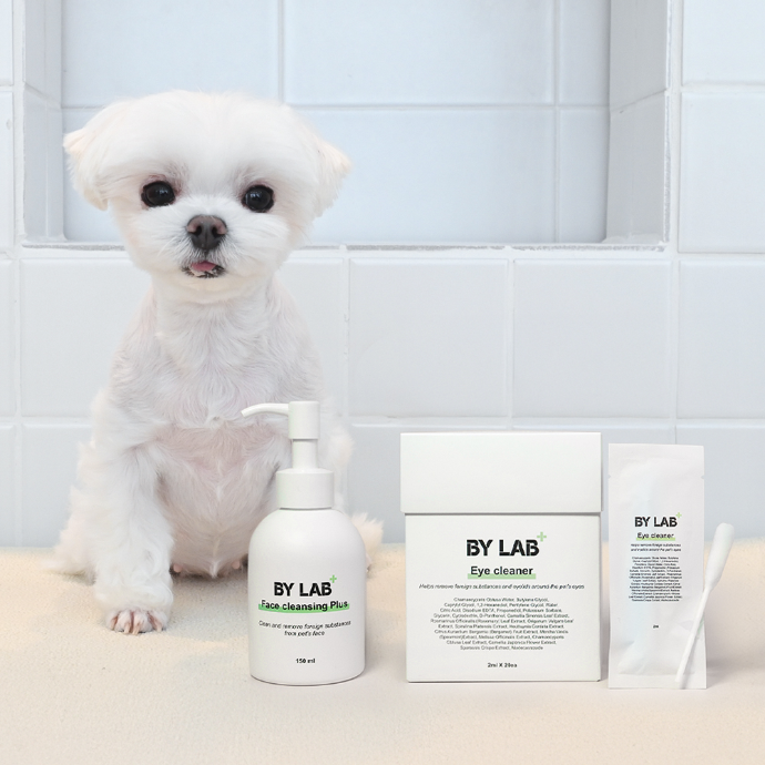 [리워드2만원] 강아지 얼굴 샴푸+눈곱 면봉 릴스 제작✨