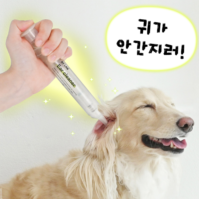 [리워드2만원] 강아지 귀세정제 릴스 제작💚