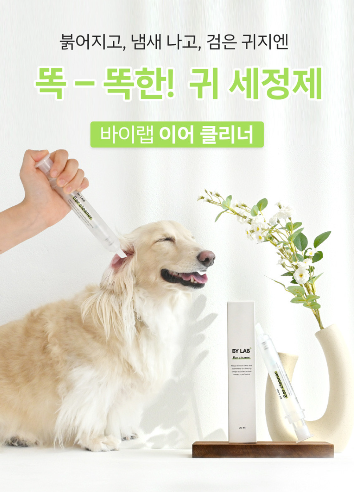 붉어지고, 냄새 나고, 검은 귀지에 톡톡!💚 귀세정제 혁명템, 귀 편한 '이어클리너'