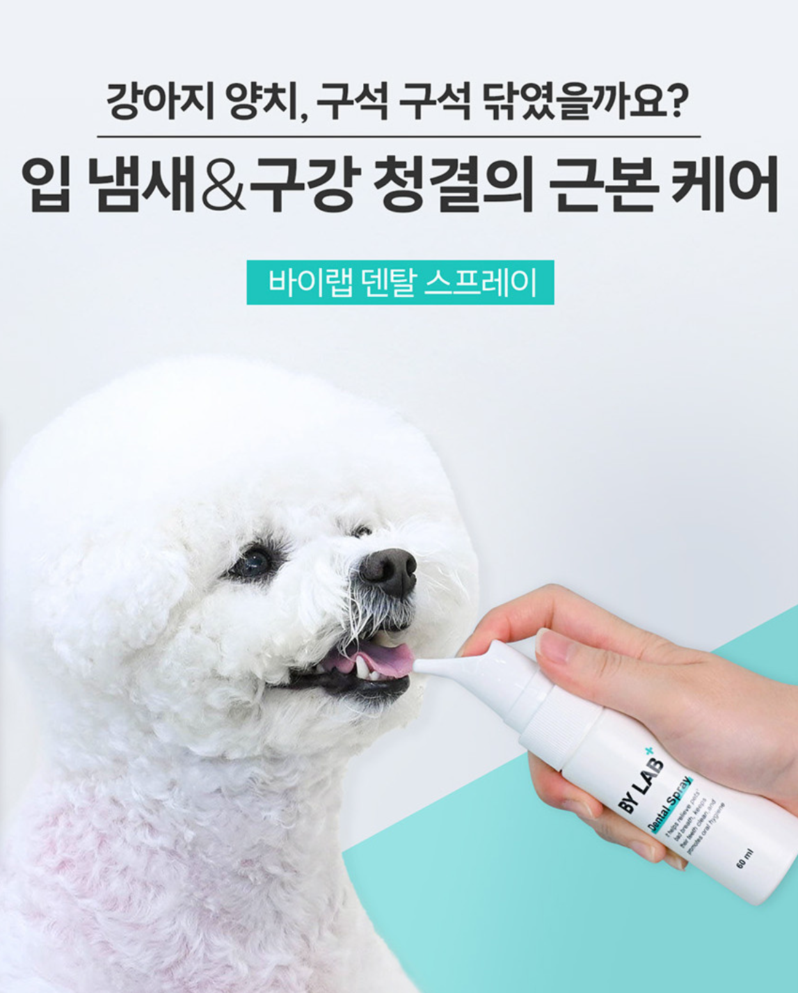 이젠 입냄새 OUT! 칙칙- 뿌려주면 입냄새가 개선되는 쉽고 간편한 강아지 구강 청결제, 바이랩 '덴탈 스프레이'💙