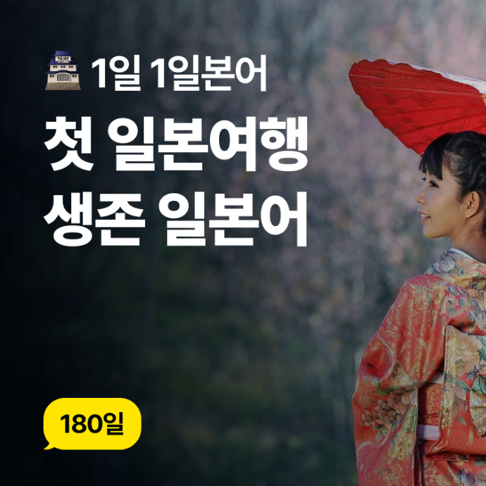[1일 1일본어] 첫 일본여행 생존 일본어