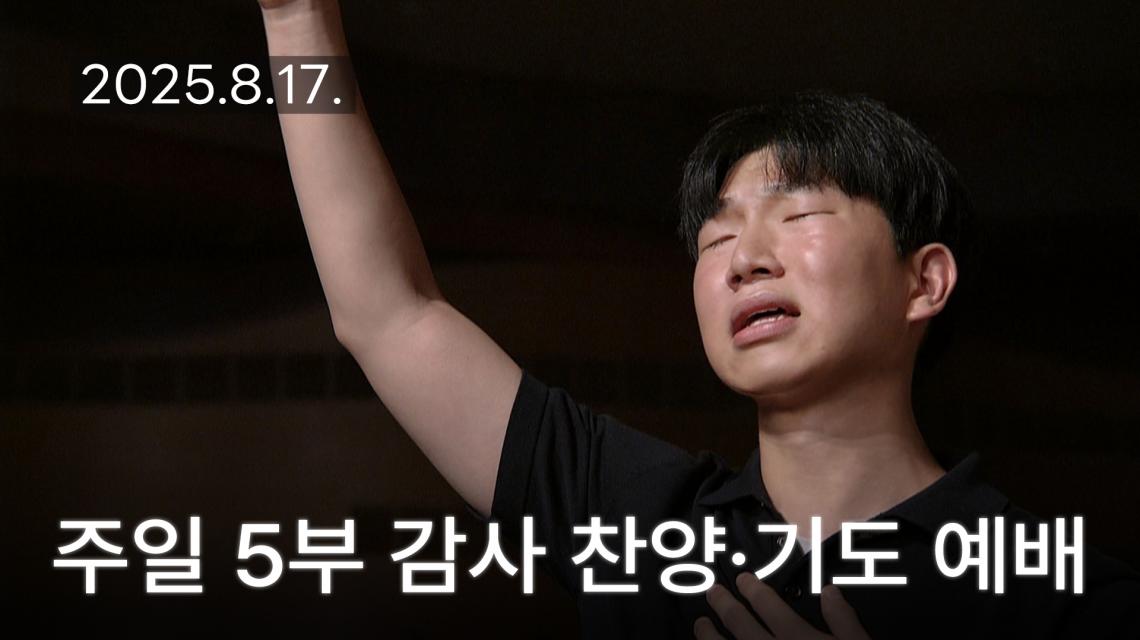 인기영상