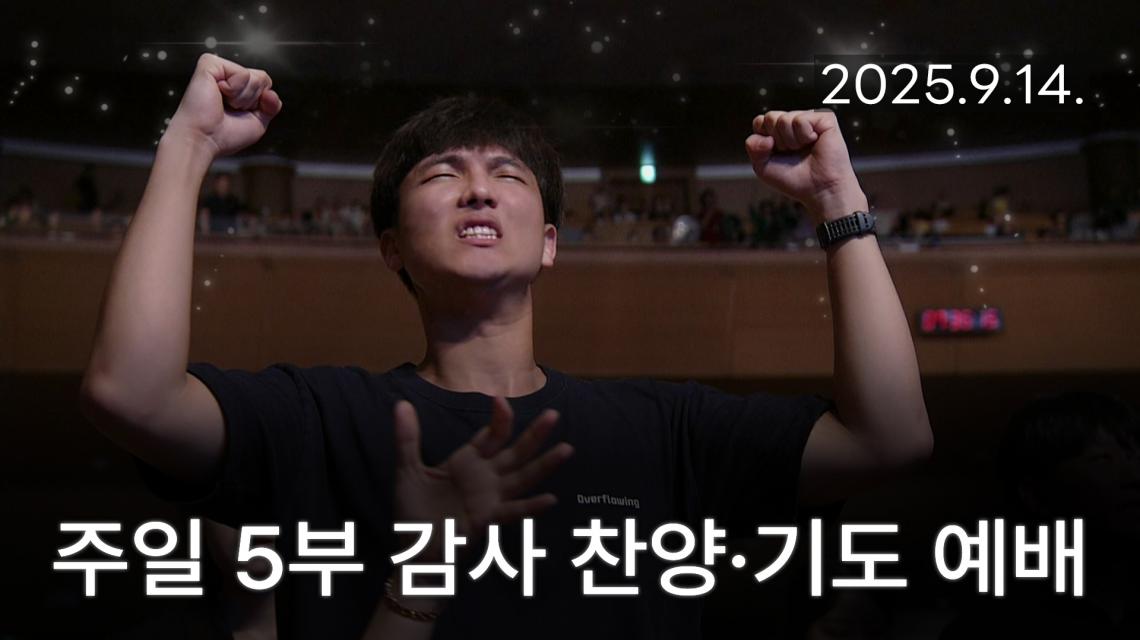인기영상