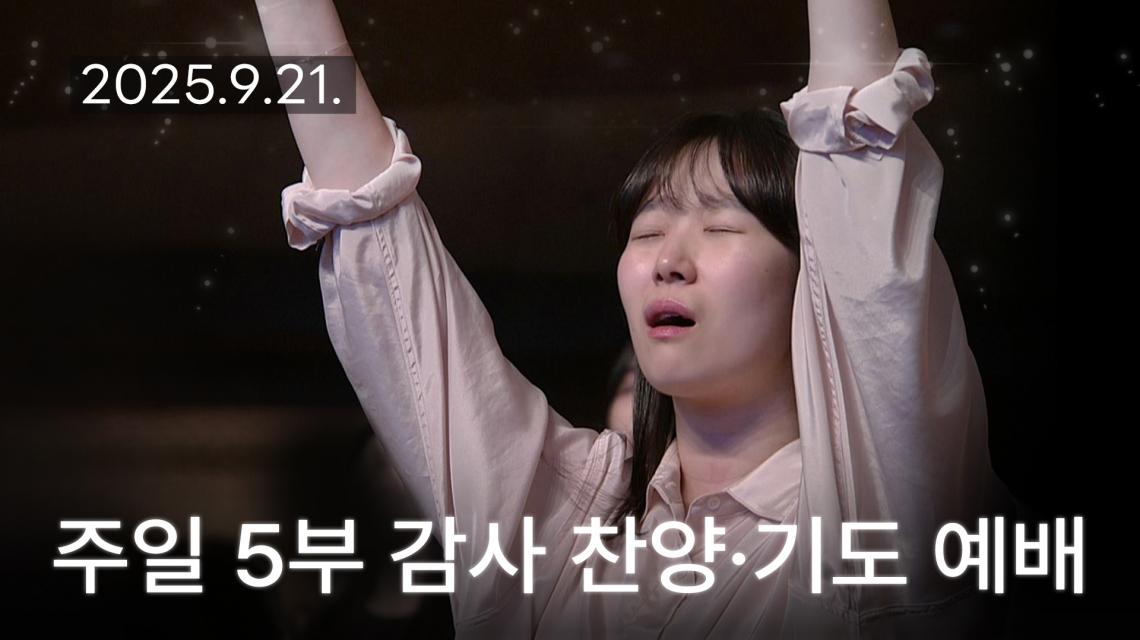 인기영상