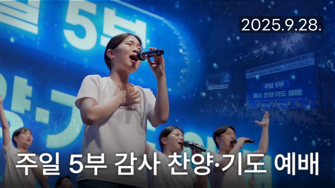 인기영상