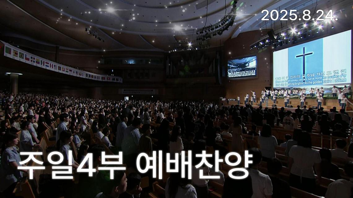 인기영상