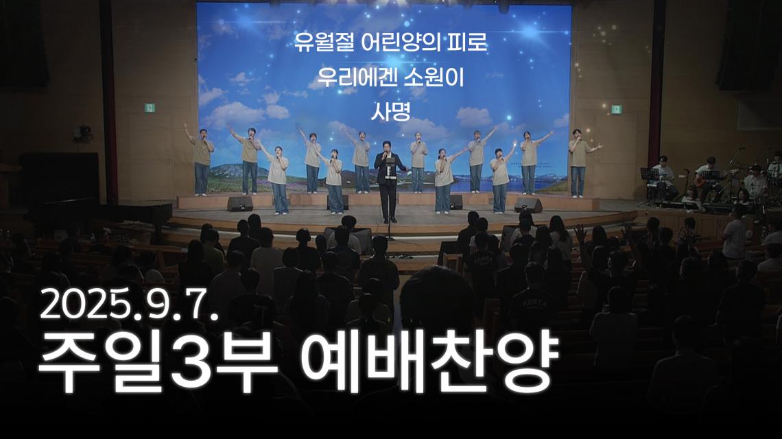 인기영상