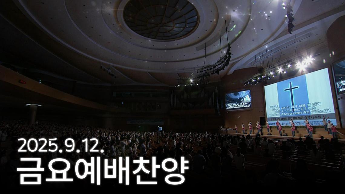 인기영상